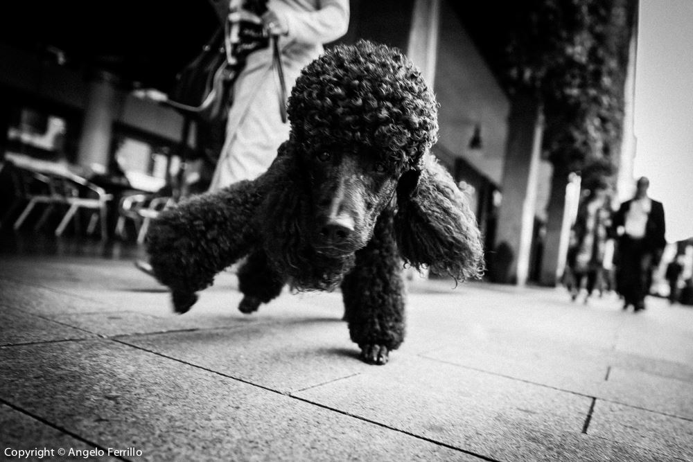 WALKING PHOTOGRAPHY – QUELLO CHE NON È LA&nbsp;STREET!!!