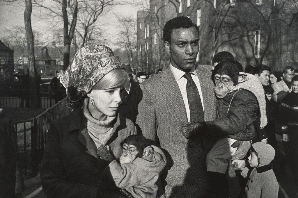 GARRY WINOGRAND E LE&nbsp;SCIMMIE