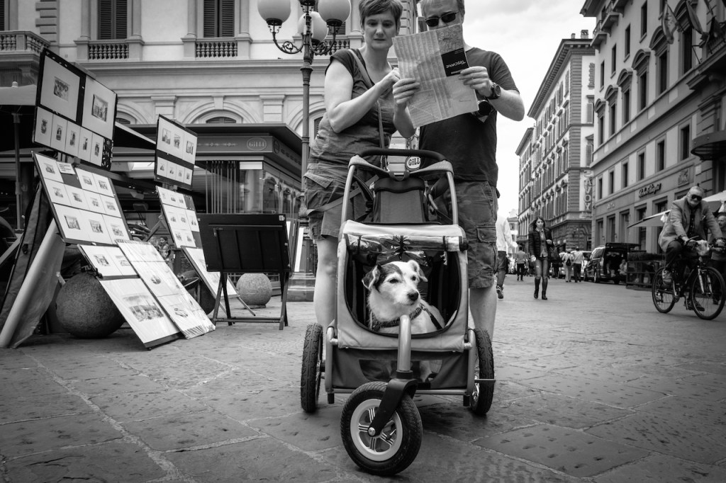 LETTURE PORTFOLIO – DOVE, COME, QUANDO E&nbsp;PERCHÉ